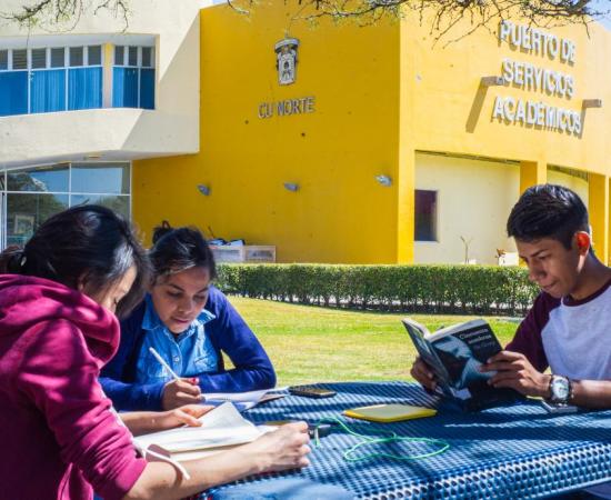 Estudiantes haciendo tarea 