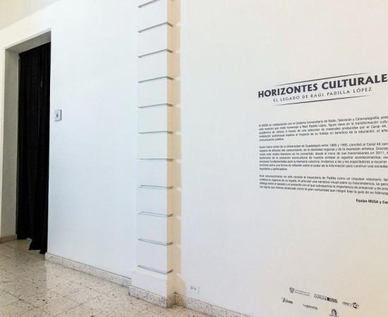 Exposición MUSA - Raúl Padilla 