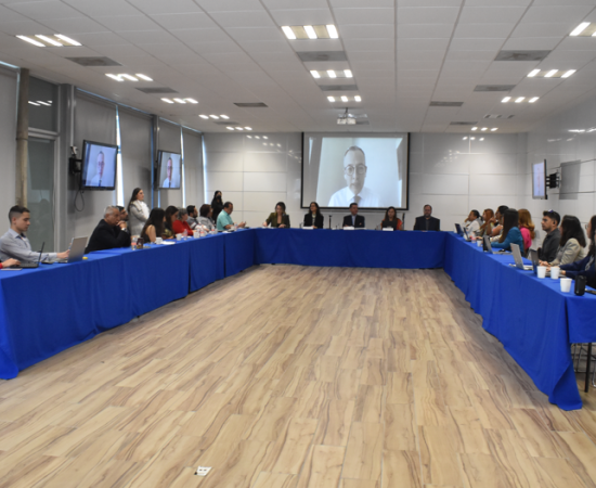 Pasantía IGLU 2025 