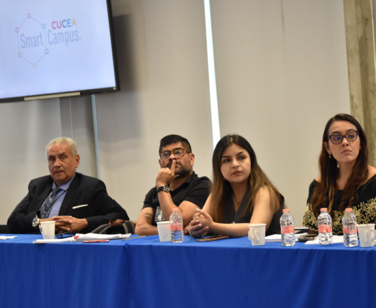 Pasantía IGLU 2025 
