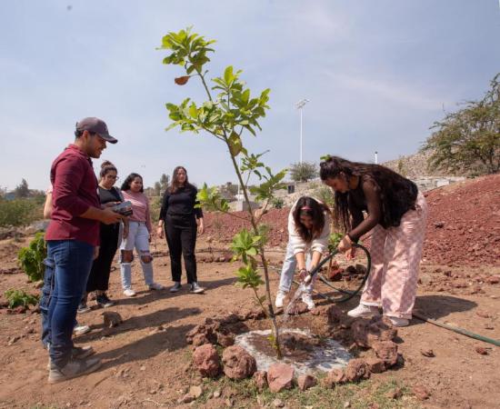 Jornada Nacional “Tequios por la paz” 2025
