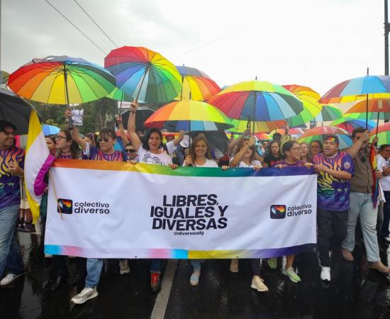Consejo de Rectorías se suma a manifestación por la Diversidad